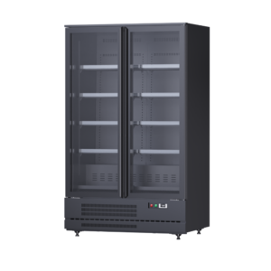 Commercial 2 Door Glass Display Freezer Plug In Upright Shop Freezer 1000L R290